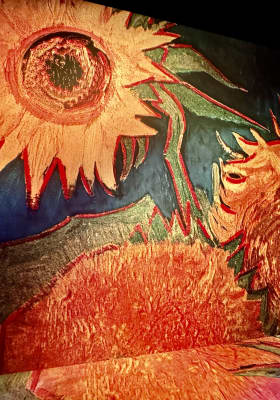 Photo 6 from New Media Art Center