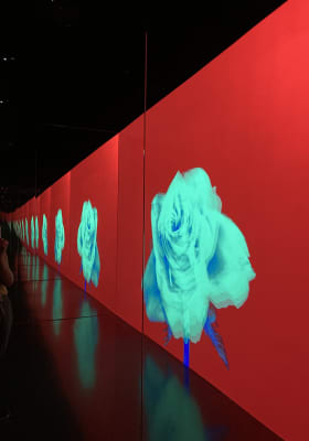 Photo 7 from Arte Museum New York