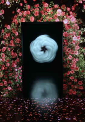 Photo 5 from Arte Museum New York