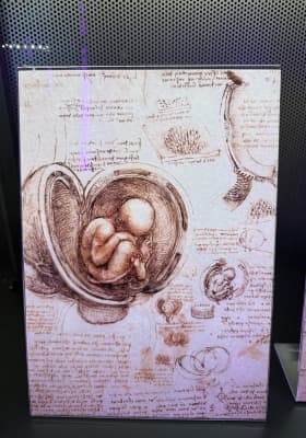 Photo 8 from Ideal Barcelona