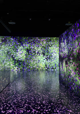 Photo 5 from Arte Museum New York