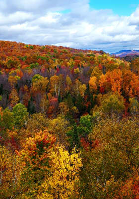 Photo 8 from Sentier des cimes Laurentides