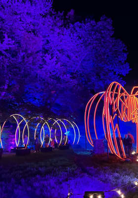 Photo 6 from New York Botanical Garden