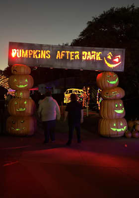 Photo 11 from Wet 'n Wild Emerald Pointe Water Park