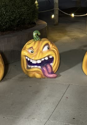 Photo 9 from Wet 'n Wild Emerald Pointe Water Park