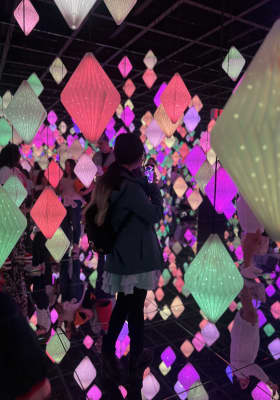 Photo 2 from Arte Museum New York
