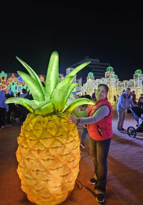 Photo 8 from Festilumi - Marché Central
