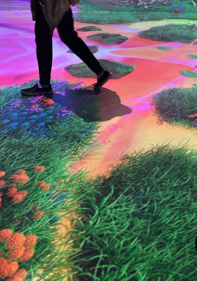 Photo 6 from ARTECHOUSE NYC