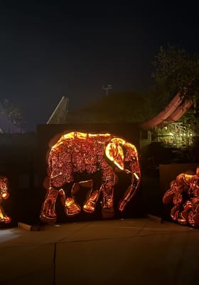 Photo 3 from Wet 'n Wild Emerald Pointe Water Park