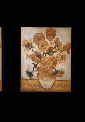 Photo 5 from Hall Tivoli