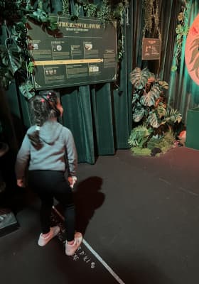 Photo 9 from 5 rue de Berri