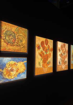 Photo 4 from Hall Tivoli