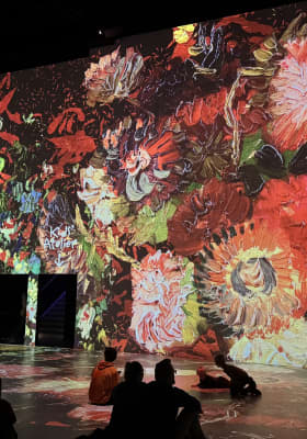 Photo 6 from Port des Lumières