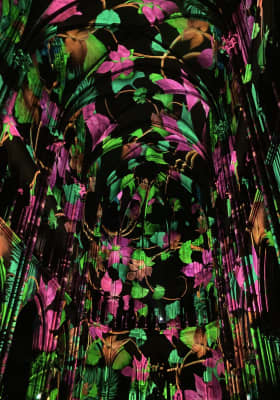 Photo 7 from Église du Gesù