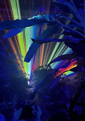 Photo 14 from 京都府立植物園 (Kyoto Botanical Gardens)