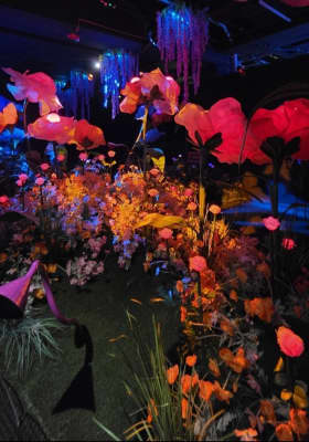 Photo 5 from Woodfield Mall