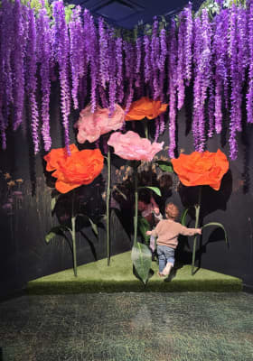 Photo 4 from Woodfield Mall