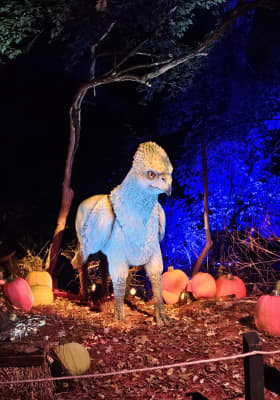 Photo 16 from Cub World