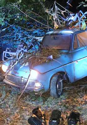 Photo 14 from Cub World