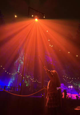 Photo 19 from Stanley Park