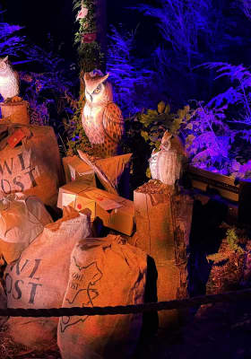 Photo 17 from Stanley Park