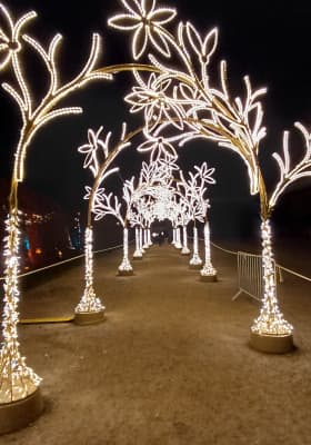 Photo 17 from Schlosspark Schönbrunn