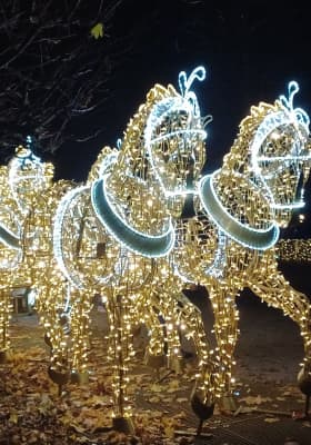 Photo 16 from Schlosspark Schönbrunn