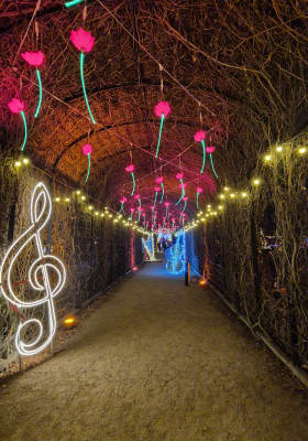 Photo 15 from Schlosspark Schönbrunn