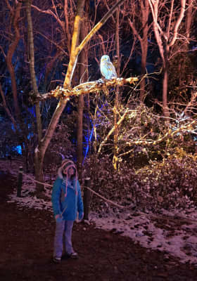 Photo 13 from Cub World