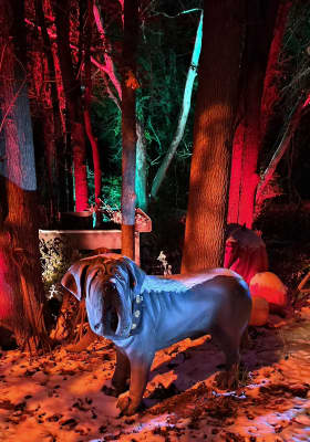 Photo 9 from Cub World