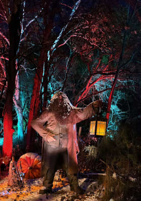 Photo 7 from Cub World