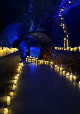 Photo 1 from Acuario de Melbourne