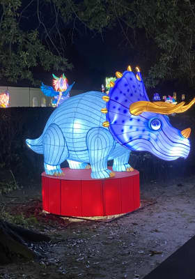 Photo 15 from Jamestown Settlement