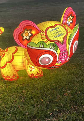 Photo 14 from Jamestown Settlement