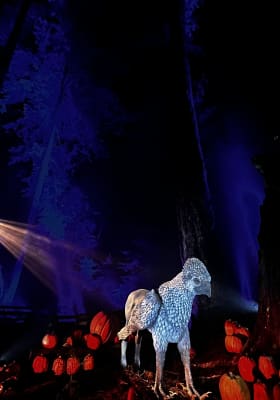 Photo 12 from Stanley Park