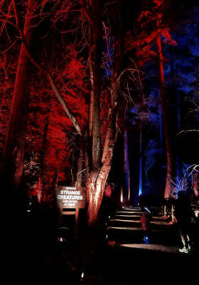 Photo 11 from Stanley Park