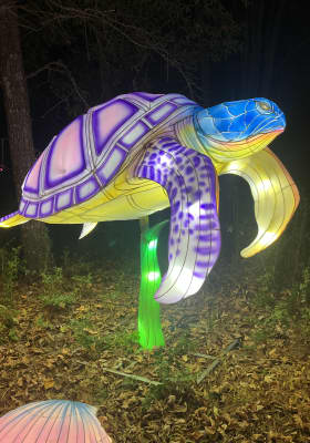 Photo 12 from Jamestown Settlement