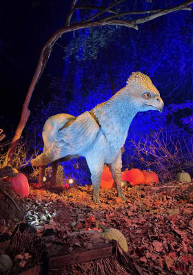 Photo 8 from Cub World