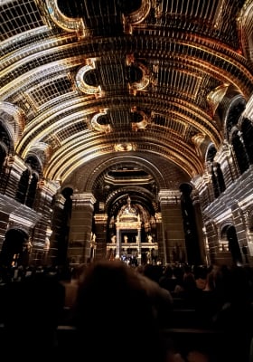 Photo 3 from The Basilica of Saint Mary