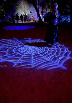 Photo 4 from Cub World