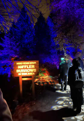 Photo 10 from Stanley Park