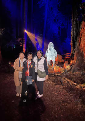 Photo 8 from Stanley Park