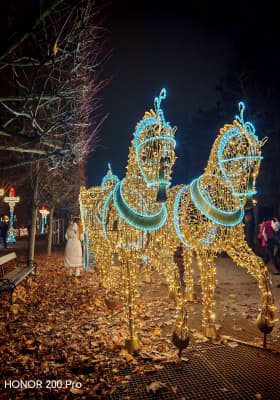 Photo 13 from Schlosspark Schönbrunn