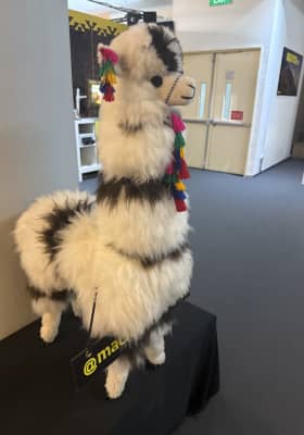 Photo 1 from China Square Food Centre