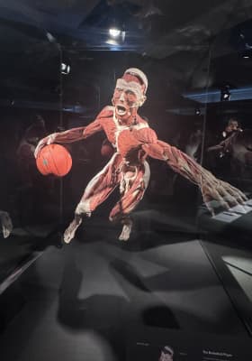 Photo 20 from Northbridge Centre