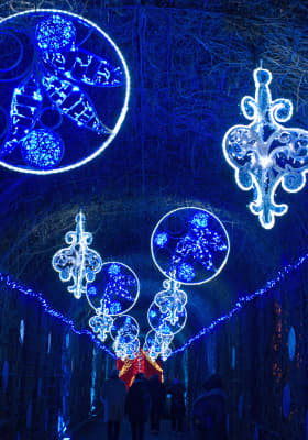 Photo 12 from Schlosspark Schönbrunn