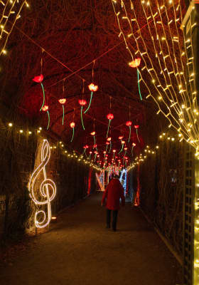 Photo 11 from Schlosspark Schönbrunn