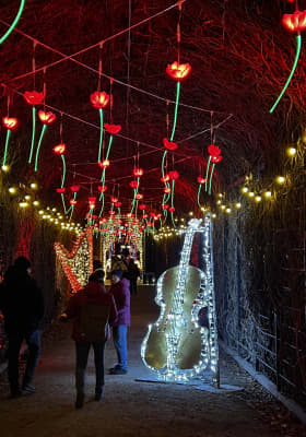 Photo 10 from Schlosspark Schönbrunn