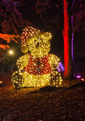 Photo 7 from Lumières en Seine