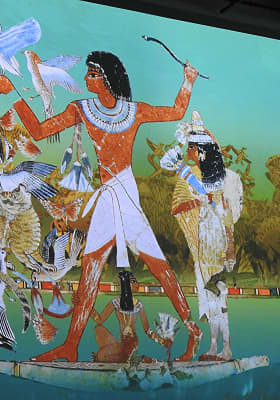 Photo 5 from 3401 S Congress Ave